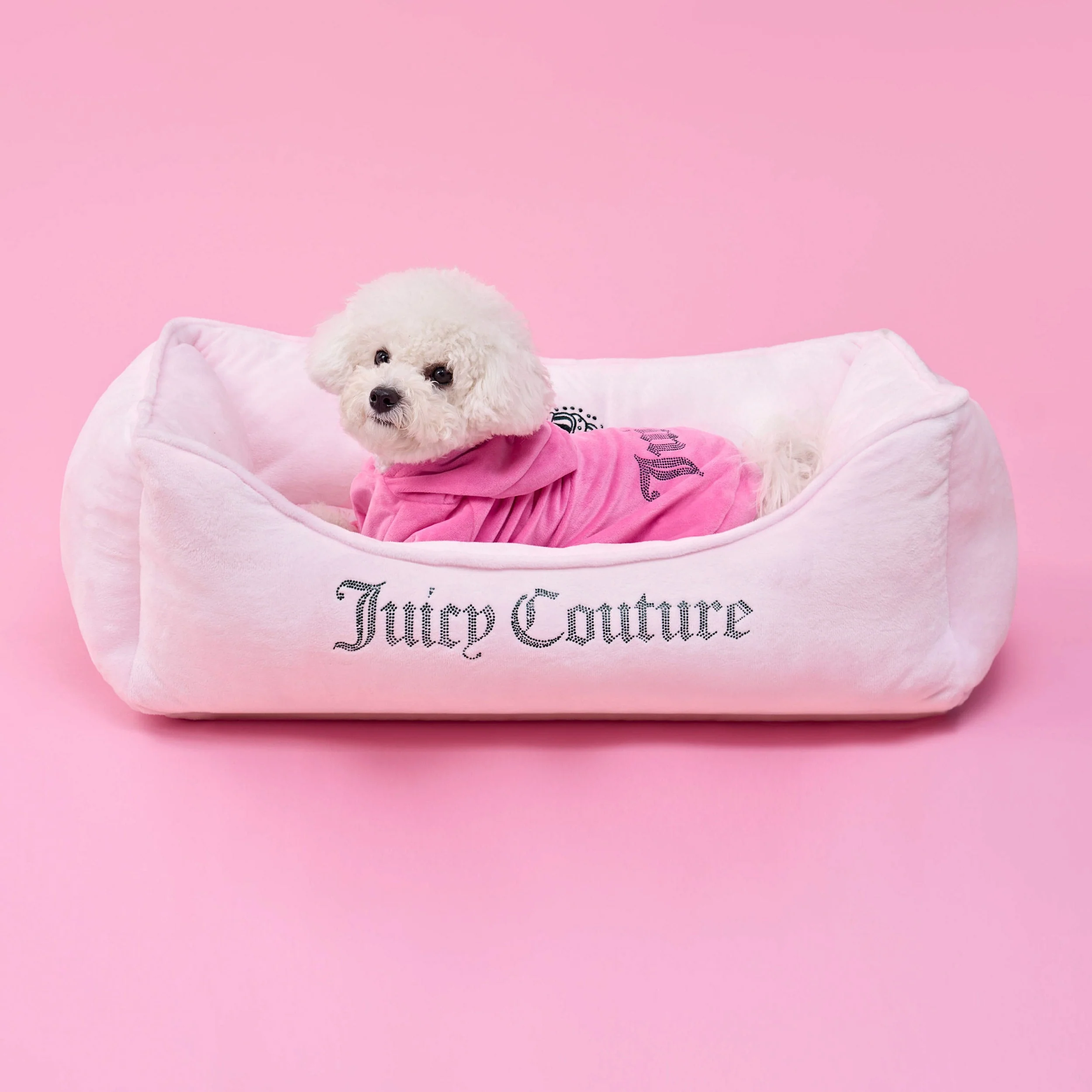 Bling Velour Pet Hoodie - Image 3