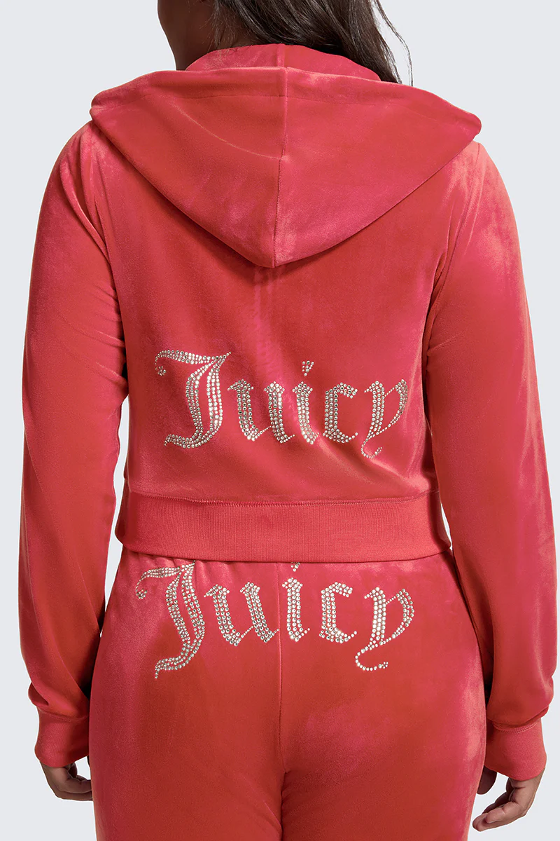 Plus-Size OG Big Bling Velour Hoodie - Image 3