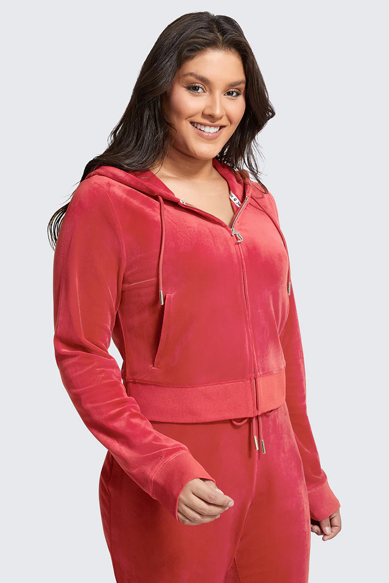 Plus-Size OG Big Bling Velour Hoodie - Image 5
