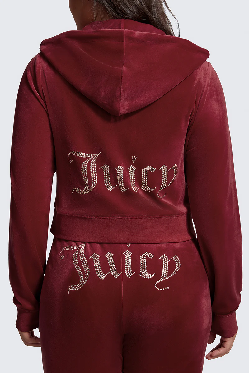 Plus-Size OG Big Bling Velour Hoodie - Image 3