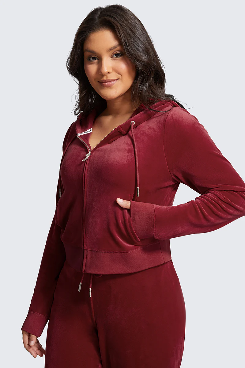 Plus-Size OG Big Bling Velour Hoodie - Image 4